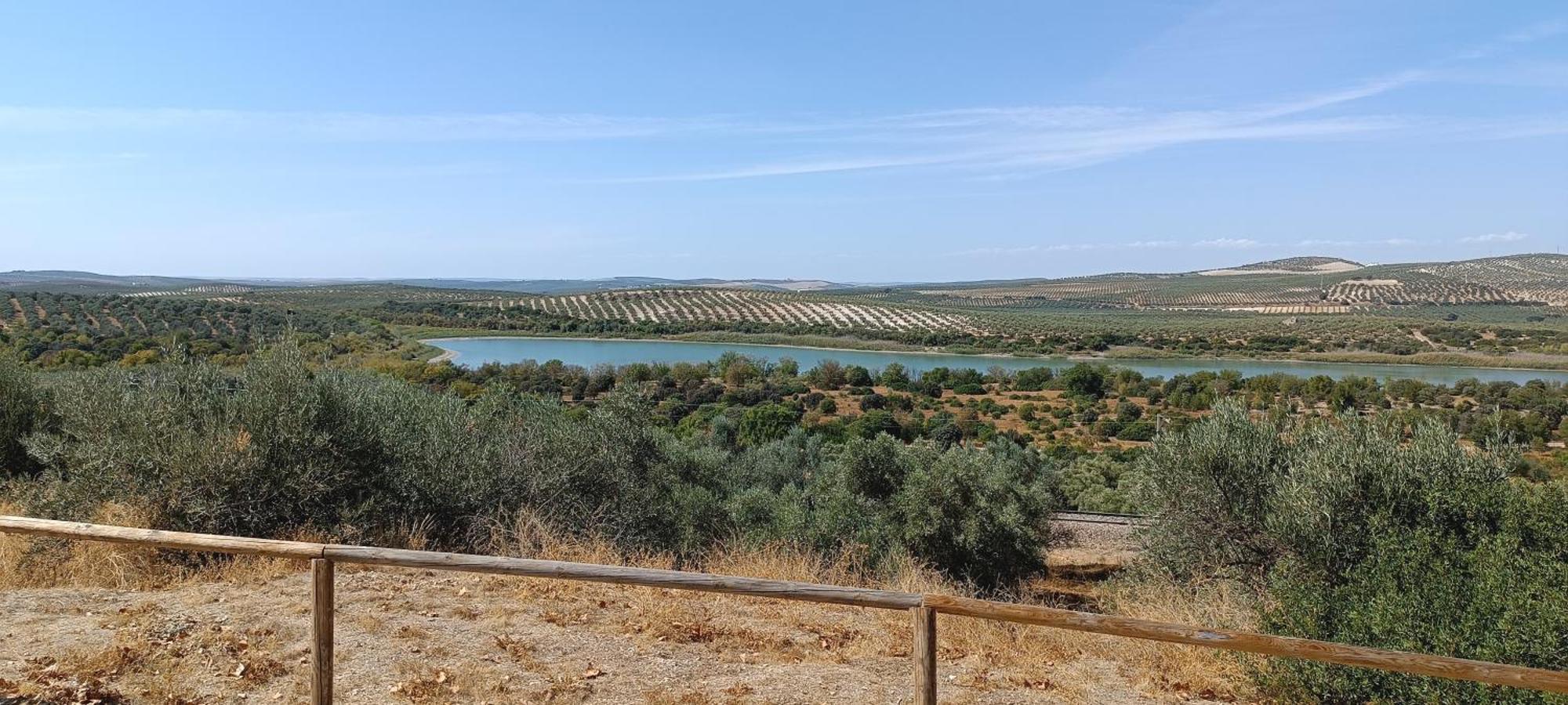 El Patio De La Cris Lägenhet Puente Genil Exteriör bild